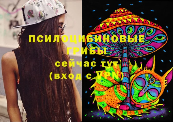 МДПВ Лагань
