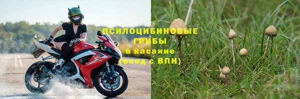 ALPHA-PVP Ладушкин