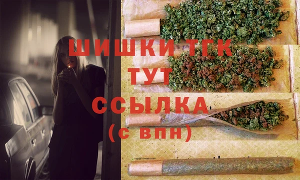 МДПВ Лагань